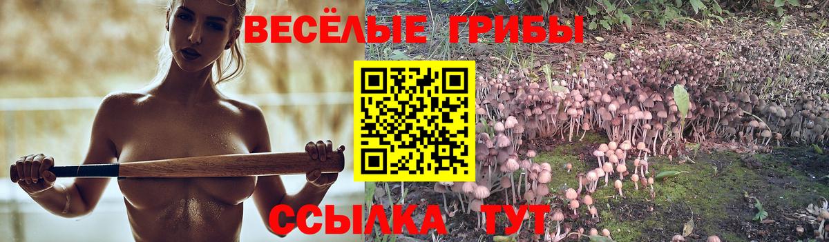 Псилоцибиновые грибы мицелий Балашов