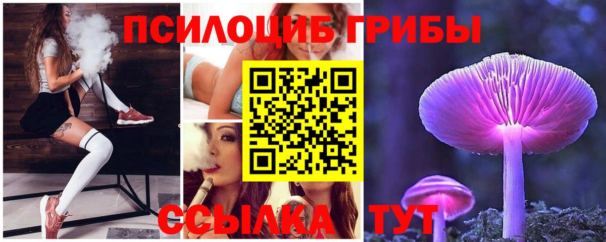 Псилоцибиновые грибы Psilocybe  Вход с VPN  Балашов 